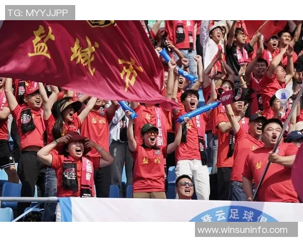 南京足球队在锦标赛中的个人能力分析与表现评估